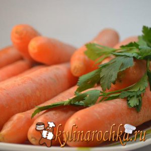 Полезные свойства и применение моркови и петрушки